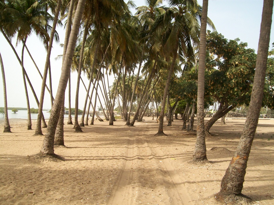 Image envoyée